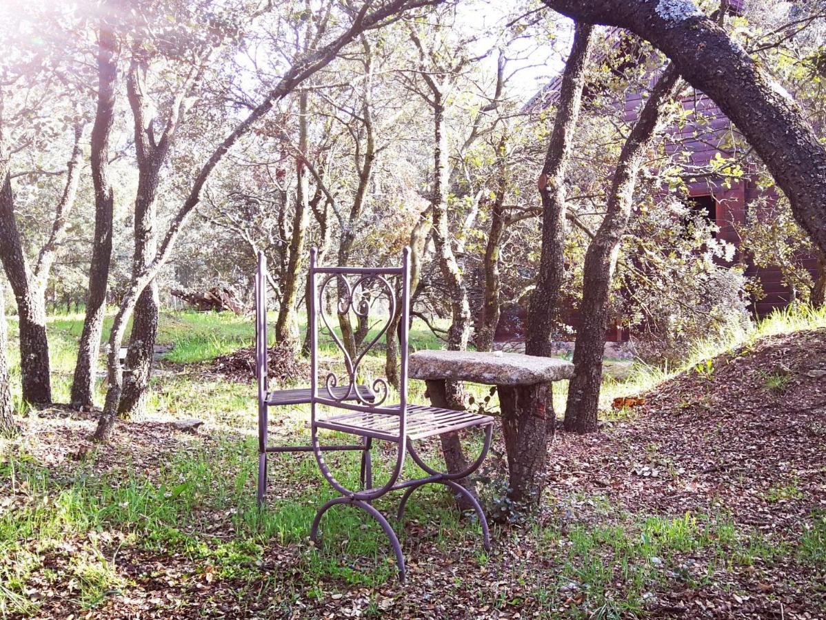 El Rincon De Tus Suenos Villa El Espinar Buitenkant foto